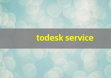 todesk service